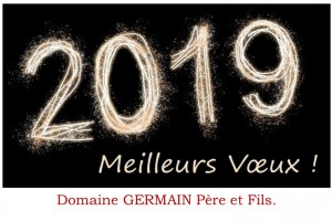 VOEUX 2019