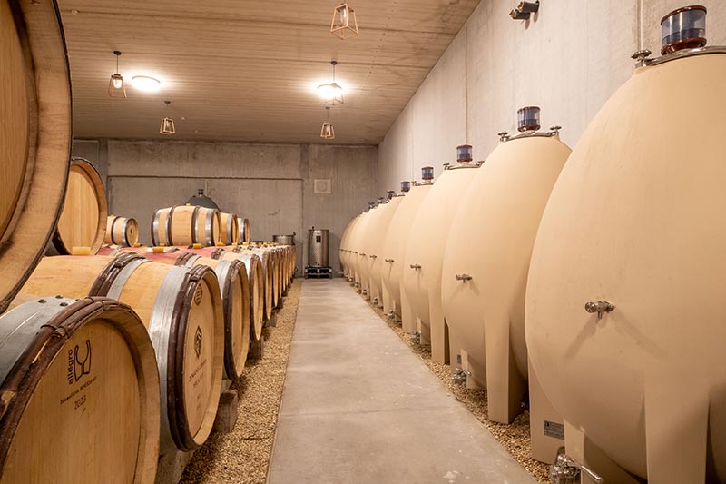 La cuverie du Domaine Germain