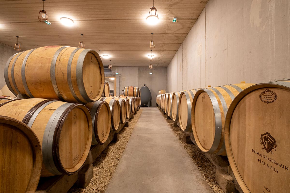 Travail en cave au Domaine Germain