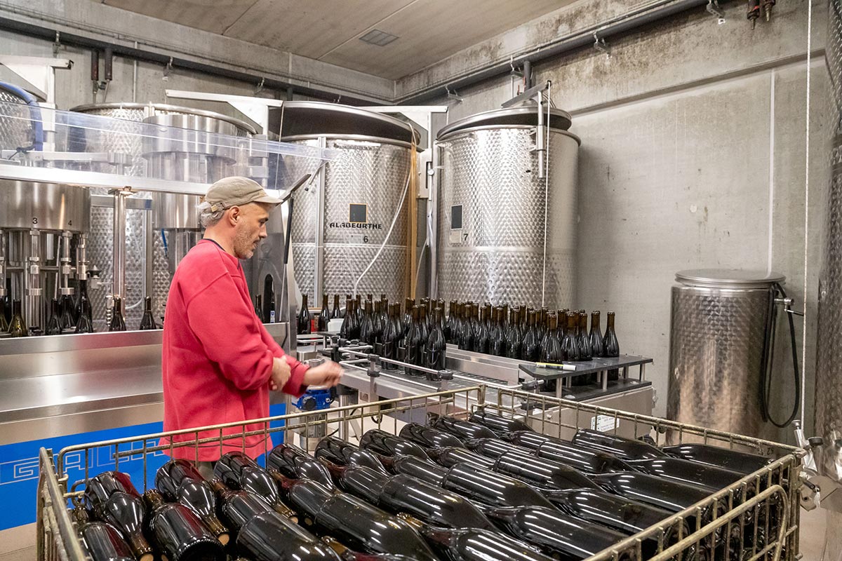 Détail des vins en élevage