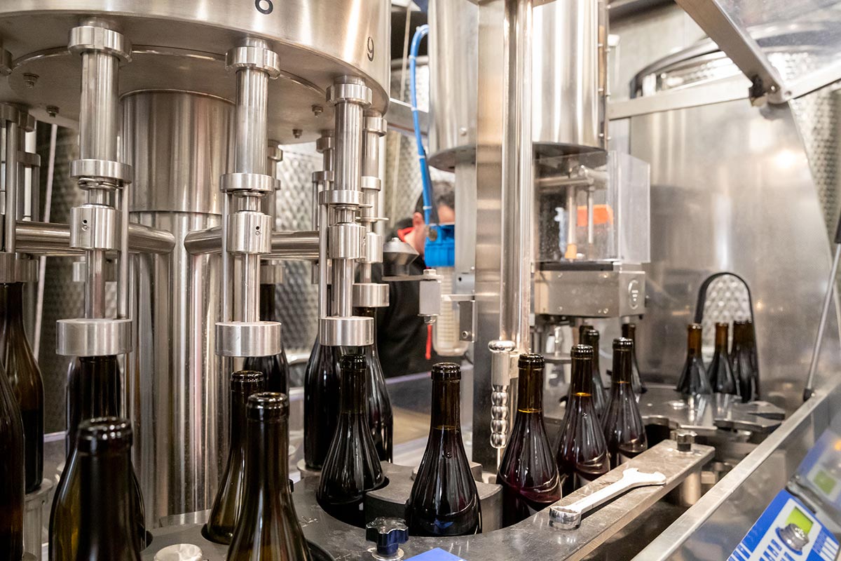 Gestes en cave et élevage des vins