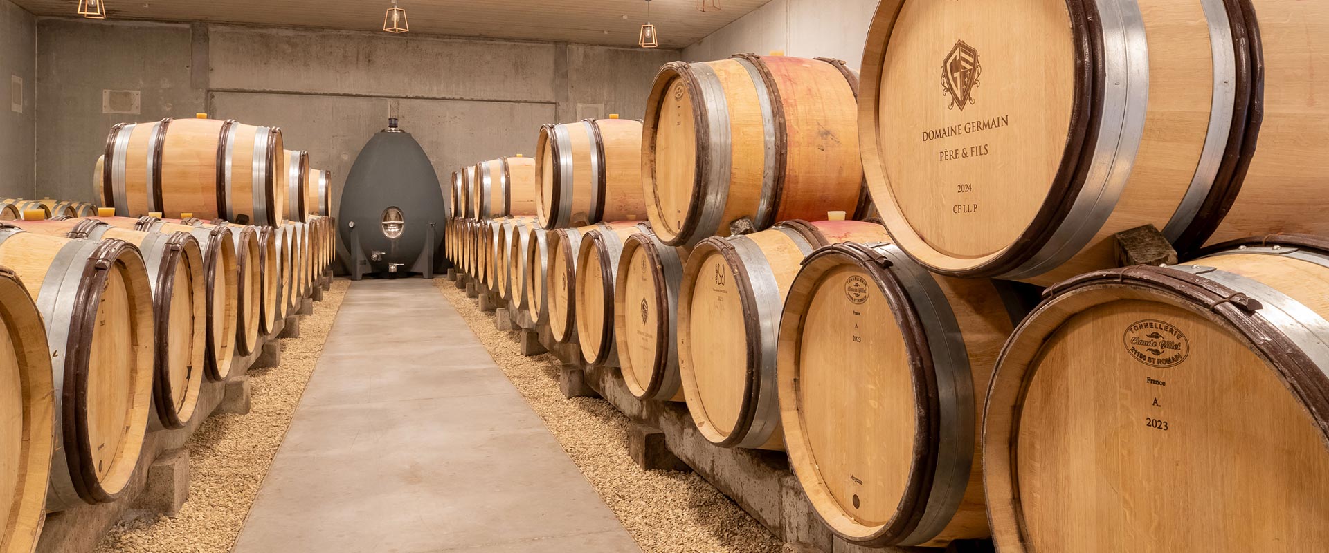 Vignes du Domaine Germain — Côte de Beaune